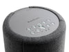 Audio Pro A10 Wireless Multiroom Speaker (WiFi/Bluetooth)