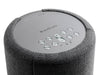 Audio Pro A10 MKII Wireless Multiroom Speaker (WiFi/Bluetooth)